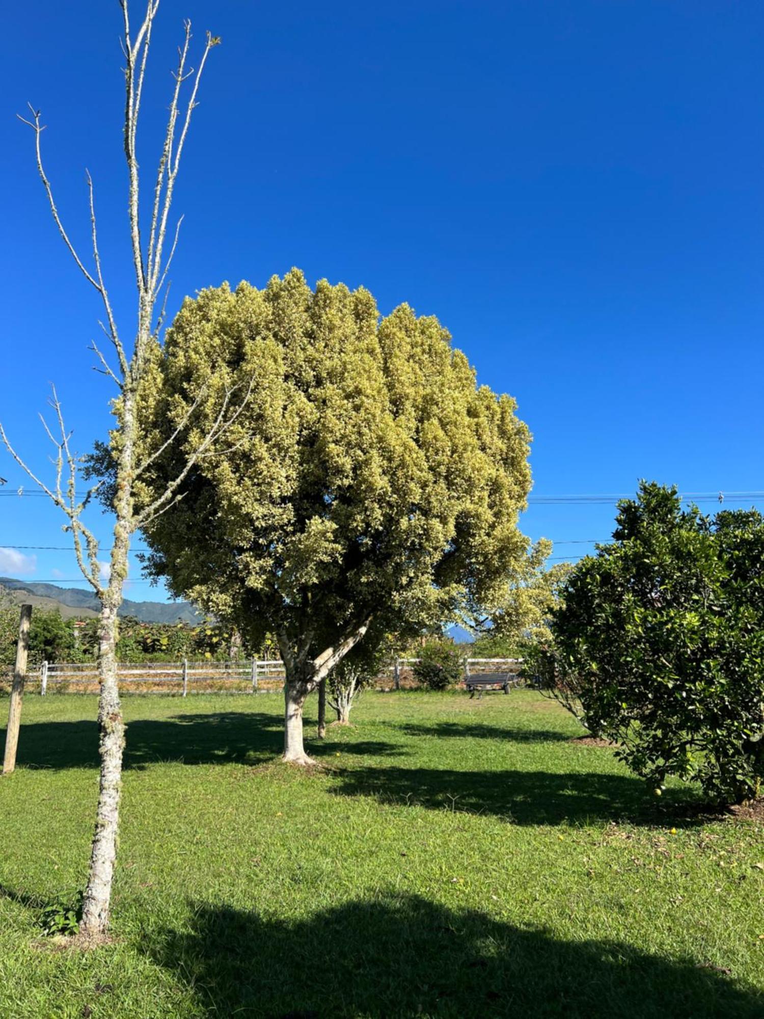 Finca Hotel Paraiso Urrao 외부 사진