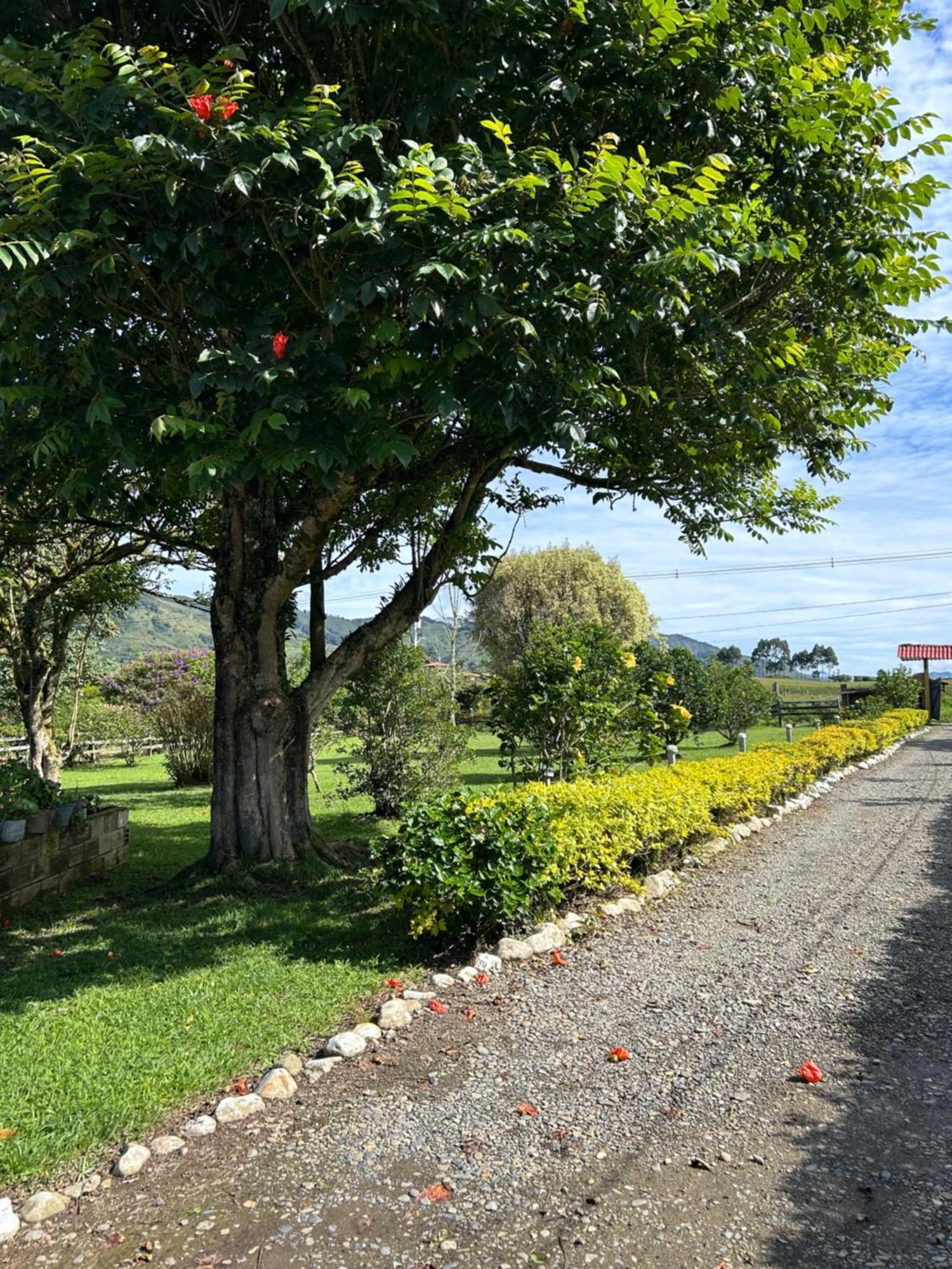 Finca Hotel Paraiso Urrao 외부 사진